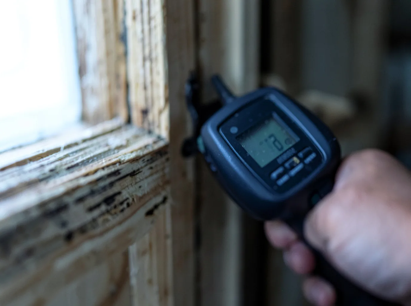 Moisture Inspection And Documentation in Nikiski, AK
